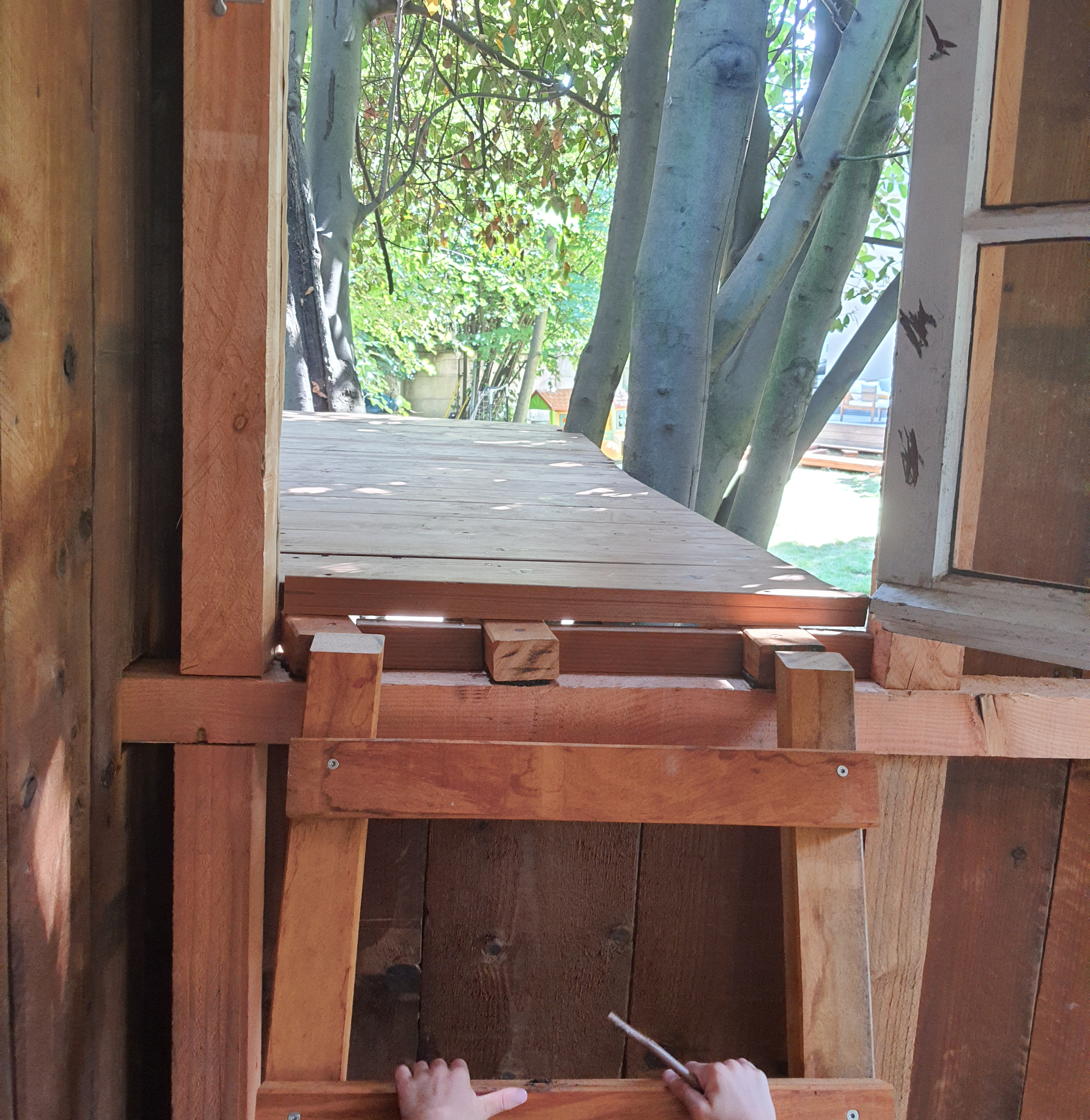 Construction d'une cabane dans les arbres